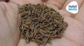 Jintan kaya akan serat, zat besi, magnesium, kalsium, dan fosfor. (Dok. Hallokaltim.com/Banny Rachman)