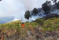 Upaya pemadaman dan monitoring karthula di Bukit Teletubies, kawasan wisata Taman Nasional Bromo Tengger Semeru, Jumat, 31/8/2023. (Dok. BPBD Kabupaten Probolinggo)
