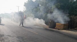 Kebakaran hutan dan lahan terjadi di Desa Petung, Kecamatan Penajem, Kabupaten Penajam Paser Utara, Provinsi Kalimantan Timur. (Dok. BPBD Penajam Paser Utara) 
