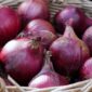 Harga Bawang Merah Mengalami Kenaikan. (Pixabay.com/matthiasboeckel)

