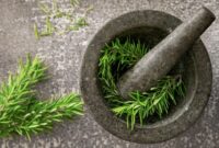 Seorang peramu tradisional Kutai menunjukkan akar Pasak Bumi yang baru dipanen, salah satu ramuan herbal paling terkenal dari Kalimantan Timur yang dipercaya ampuh meningkatkan vitalitas.