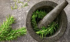 Rahasia Sehat Leluhur Kutai: Ramuan Herbal Penjaga Vitalitas dan Keharmonisan