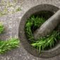 Seorang peramu tradisional Kutai menunjukkan akar Pasak Bumi yang baru dipanen, salah satu ramuan herbal paling terkenal dari Kalimantan Timur yang dipercaya ampuh meningkatkan vitalitas.