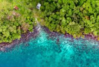 Pemandangan udara Kepulauan Derawan menunjukkan air laut biru kehijauan yang jernih dengan pulau-pulau kecil berpasir putih. Foto ini menangkap keindahan panorama gugusan pulau eksotis yang kaya akan kehidupan bawah laut.