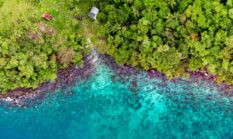 Pesona Abadi Derawan: Menyelami Keindahan Bawah Laut Kalimantan Timur