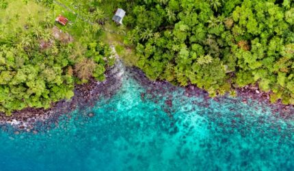 Pesona Abadi Derawan: Menyelami Keindahan Bawah Laut Kalimantan Timur