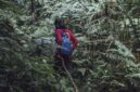 Pemandangan jalur pendakian yang diselimuti lumut tebal di Gunung Lumut, Kalimantan, menciptakan suasana mistis dan memukau bagi setiap penjelajah yang mencari petualangan di tengah hutan hujan tropis yang masih perawan.