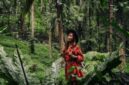 Pemandangan jalur pendakian Gunung Lumut yang diselimuti lapisan lumut tebal, menciptakan suasana magis dan misterius di tengah hutan hujan tropis Kalimantan. Jalur ini menawarkan pengalaman trekking unik bagi para petualang.