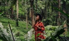 Pesona Tersembunyi Puncak Gunung Lumut: Mendaki Hutan Purba di Jantung Kalimantan