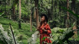 Pemandangan jalur pendakian Gunung Lumut yang diselimuti lapisan lumut tebal, menciptakan suasana magis dan misterius di tengah hutan hujan tropis Kalimantan. Jalur ini menawarkan pengalaman trekking unik bagi para petualang.