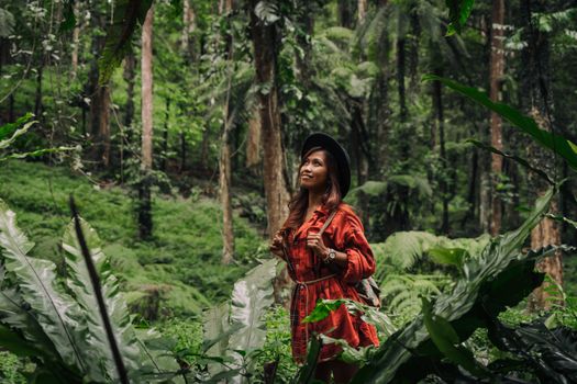 Pemandangan jalur pendakian Gunung Lumut yang diselimuti lapisan lumut tebal, menciptakan suasana magis dan misterius di tengah hutan hujan tropis Kalimantan. Jalur ini menawarkan pengalaman trekking unik bagi para petualang.