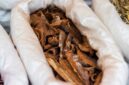 Berbagai jenis akar, kulit kayu, dan dedaunan yang menjadi bahan dasar ramuan herbal tradisional khas Kutai, menunjukkan kekayaan hayati hutan Kalimantan. Tumbuhan-tumbuhan ini dipercaya memiliki khasiat luar biasa untuk menjaga kesehatan dan mengobati berbagai penyakit.