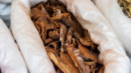 Berbagai jenis akar, kulit kayu, dan dedaunan yang menjadi bahan dasar ramuan herbal tradisional khas Kutai, menunjukkan kekayaan hayati hutan Kalimantan. Tumbuhan-tumbuhan ini dipercaya memiliki khasiat luar biasa untuk menjaga kesehatan dan mengobati berbagai penyakit.