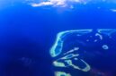 Pemandangan udara Kepulauan Derawan memperlihatkan air laut sebening kristal dan gugusan pulau yang menawan, mengundang para wisatawan untuk menjelajahi keindahan bawah lautnya. Gambar ini menunjukkan keasrian alam Derawan yang masih terjaga, menjadi daya tarik utama bagi para pencari ketenangan dan petualangan di laut.