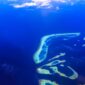 Pemandangan udara Kepulauan Derawan memperlihatkan air laut sebening kristal dan gugusan pulau yang menawan, mengundang para wisatawan untuk menjelajahi keindahan bawah lautnya. Gambar ini menunjukkan keasrian alam Derawan yang masih terjaga, menjadi daya tarik utama bagi para pencari ketenangan dan petualangan di laut.