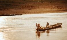Misteri Sungai Mahakam: Kisah Pesut, Penjaga Legendaris dari Masa Lalu