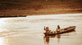 Seekor pesut mahakam berenang anggun di antara perahu tradisional di Sungai Mahakam, Kalimantan Timur, mengingatkan kita pada kekayaan legenda dan keindahan alam yang harus terus kita jaga. Keberadaan mamalia air tawar ini merupakan simbol keharmonisan antara manusia dan alam di jantung Borneo.