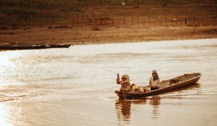 Misteri Sungai Mahakam: Kisah Pesut, Penjaga Legendaris dari Masa Lalu