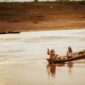 Seekor pesut mahakam berenang anggun di antara perahu tradisional di Sungai Mahakam, Kalimantan Timur, mengingatkan kita pada kekayaan legenda dan keindahan alam yang harus terus kita jaga. Keberadaan mamalia air tawar ini merupakan simbol keharmonisan antara manusia dan alam di jantung Borneo.