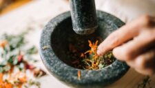 Seorang ahli pengobatan tradisional di Kutai sedang menyiapkan ramuan herbal dari berbagai jenis akar dan dedaunan khas Kalimantan, menunjukkan kekayaan kearifan lokal dalam meracik obat alami. Proses peracikan ini menjadi bagian tak terpisahkan dari budaya masyarakat Kutai dalam menjaga kesehatan tubuh secara turun-temurun.