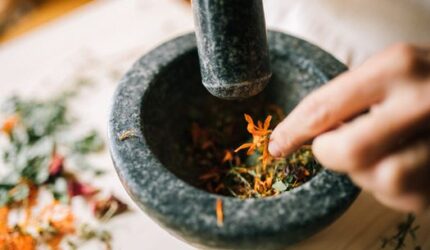 Rahasia Ramuan Herbal Kutai: Menjaga Kesehatan Ala Leluhur Kalimantan