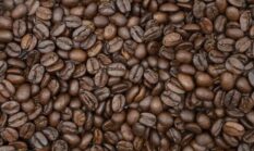 Sanga: Menjelajahi Kehangatan Rasa Kopi Tradisional Khas Lombok