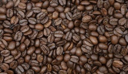 Sanga: Menjelajahi Kehangatan Rasa Kopi Tradisional Khas Lombok