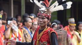 Wanita Suku Dayak Kenyah dengan telinga panjang khas yang dihiasi anting-anting tradisional, menunjukkan keunikan budaya dan keindahan warisan leluhur mereka. Tampilan ini adalah bagian tak terpisahkan dari identitas dan status sosial di tengah masyarakat adat.