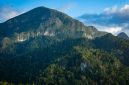 Pemandangan puncak Gunung Lumut di Kalimantan Tengah, menampilkan hamparan hutan tropis yang diselimuti lumut tebal, menciptakan suasana magis dan misterius. Kabut tipis menyelimuti pepohonan, menambah keindahan alam yang masih sangat alami dan perawan ini.