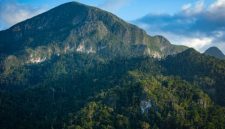Pemandangan puncak Gunung Lumut di Kalimantan Tengah, menampilkan hamparan hutan tropis yang diselimuti lumut tebal, menciptakan suasana magis dan misterius. Kabut tipis menyelimuti pepohonan, menambah keindahan alam yang masih sangat alami dan perawan ini.
