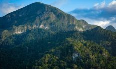 Pesona Puncak Gunung Lumut: Melintasi Hutan Ajaib Kalimantan yang Memikat