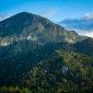 Pemandangan puncak Gunung Lumut di Kalimantan Tengah, menampilkan hamparan hutan tropis yang diselimuti lumut tebal, menciptakan suasana magis dan misterius. Kabut tipis menyelimuti pepohonan, menambah keindahan alam yang masih sangat alami dan perawan ini.