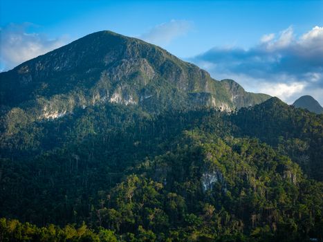 Pemandangan puncak Gunung Lumut di Kalimantan Tengah, menampilkan hamparan hutan tropis yang diselimuti lumut tebal, menciptakan suasana magis dan misterius. Kabut tipis menyelimuti pepohonan, menambah keindahan alam yang masih sangat alami dan perawan ini.