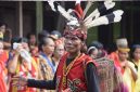 Seorang ahli pengobatan tradisional Dayak di tengah hutan Kalimantan tengah mempersiapkan ramuan herbal, menunjukkan hubungan erat antara alam dan praktik penyembuhan warisan leluhur. Daun-daunan dan akar yang baru dipanen terlihat di sepanjang alas tikar, menunggu untuk diolah menjadi obat mujarab.