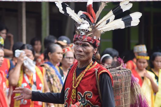 Seorang ahli pengobatan tradisional Dayak di tengah hutan Kalimantan tengah mempersiapkan ramuan herbal, menunjukkan hubungan erat antara alam dan praktik penyembuhan warisan leluhur. Daun-daunan dan akar yang baru dipanen terlihat di sepanjang alas tikar, menunggu untuk diolah menjadi obat mujarab.