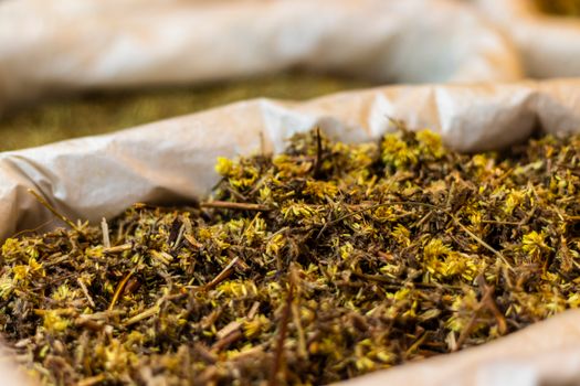 Seorang tetua adat suku Kutai tengah meracik ramuan herbal di tengah rimbunnya hutan Kalimantan, menunjukkan proses alami yang telah diwariskan turun-temurun. Keterampilan ini mencerminkan kearifan lokal dalam memanfaatkan kekayaan alam untuk menjaga kesehatan dan keseimbangan hidup.
