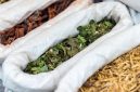 Seorang balian Dayak sedang mengolah ramuan obat tradisional di tengah hutan Kalimantan, menunjukkan dedikasi mereka dalam menjaga warisan pengobatan leluhur. Tangan terampilnya meracik berbagai bahan alami, seperti akar dan daun, yang dipercaya memiliki khasiat penyembuhan luar biasa.
