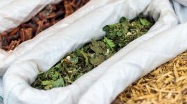 Seorang balian Dayak sedang mengolah ramuan obat tradisional di tengah hutan Kalimantan, menunjukkan dedikasi mereka dalam menjaga warisan pengobatan leluhur. Tangan terampilnya meracik berbagai bahan alami, seperti akar dan daun, yang dipercaya memiliki khasiat penyembuhan luar biasa.